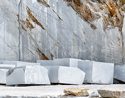 江蘇新業盛彫刻有限公司